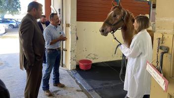 School of Veterinary Medicine Teaching Hospital tour 